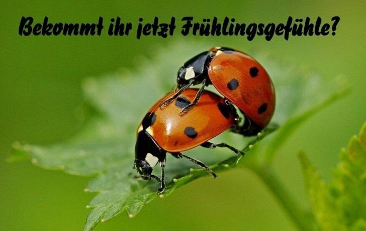 Fruehlingsgefuehle